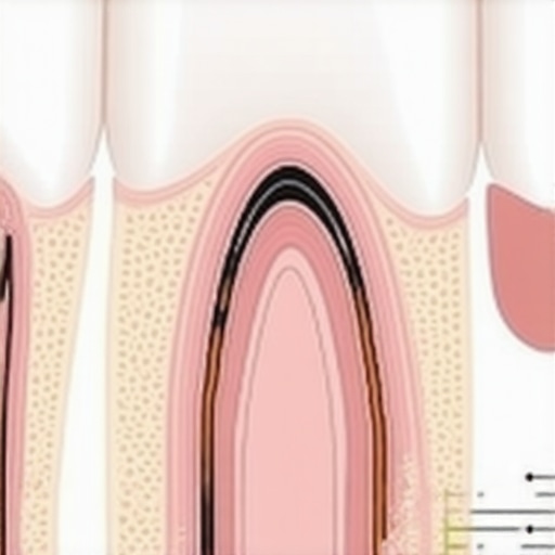 Understanding the Biologic Width in Dental Restorations Diagram of dental crown margins and the biologic width of gum tissue.